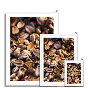 Sun Flower seeds 1 Framed Print