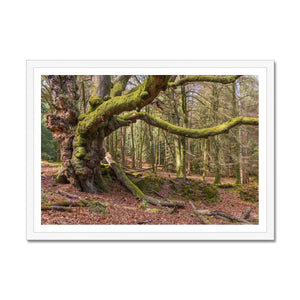 Acres gardian Framed Print