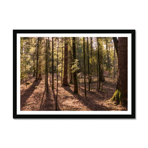 Casting shadows Framed Print