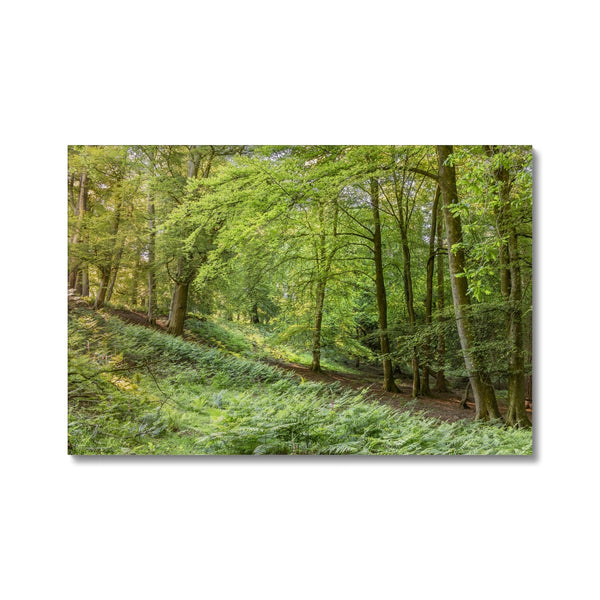 Puckpits valley 1 Canvas