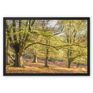 Pound hill Framed Canvas