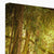 Forest 6 Canvas