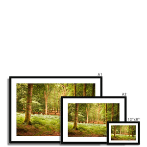 Forest 13 Framed & Mounted Print