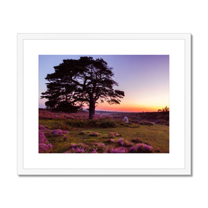 Forest 25 Framed & Mounted Print