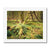 Forest 22 Framed Print