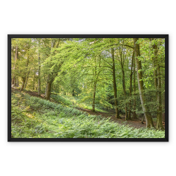 Puckpits valley 1 Framed Canvas