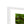 Emerald canopy forest scene