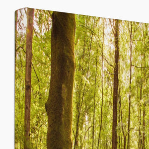 Forest 8 Canvas