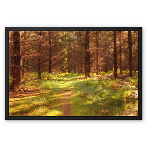 Forest 16 Framed Canvas