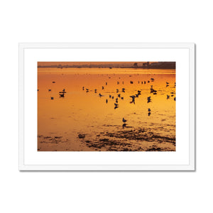 Sunset 6 Framed & Mounted Print