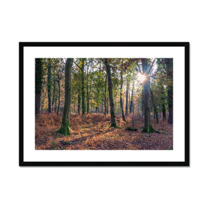 Catching light Framed & Mounted Print