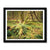 Forest 22 Framed Print