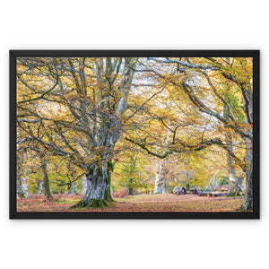 Church moor Framed Canvas