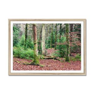 Wilverly Framed Print