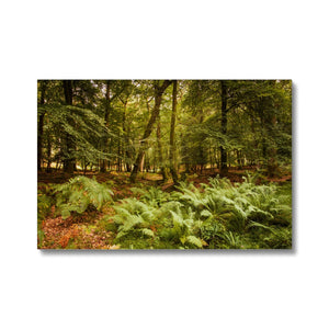 Forest 3 Canvas