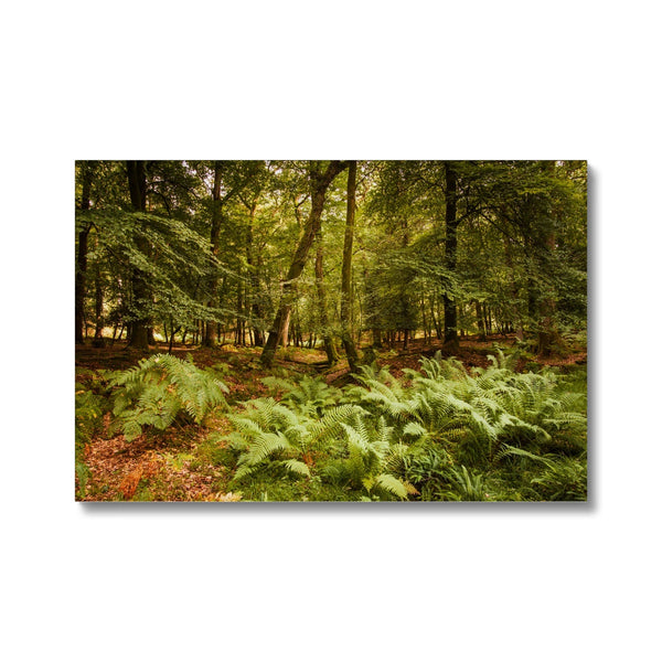 Forest 3 Canvas