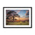 Scrape bottom sunset Framed & Mounted Print