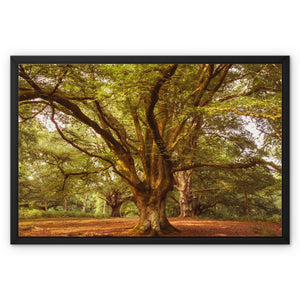 Forest 1 Framed Canvas