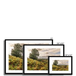 Seasons valley Framed & Mounted Print