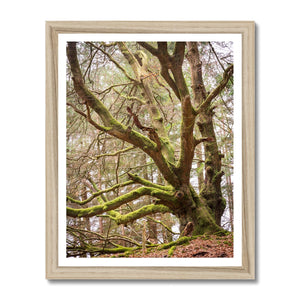 Acres gardian 2 Framed Print