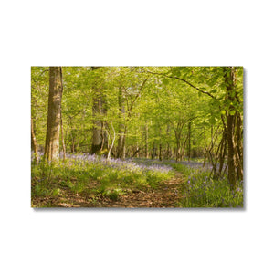 Bluebell path Canvas