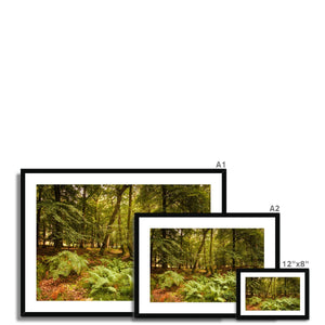 Forest 3 Framed & Mounted Print