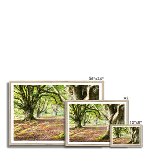 Vinney ridge Framed Print