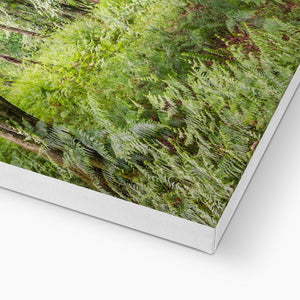 Green forest landscape