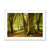 Forest 14 Framed Print