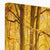 Forest 17 Canvas