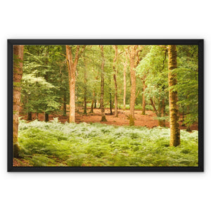 Forest 13 Framed Canvas