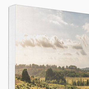 Holm Hill Canvas