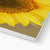 Sun Flower 2 Canvas