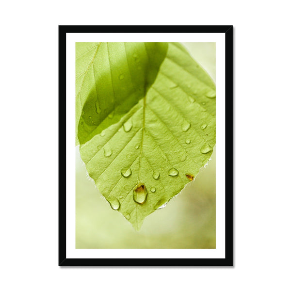 Leaf Macro 1 Framed Print