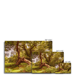 Forest 4 Canvas