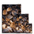 Sun Flower seeds 3 Canvas