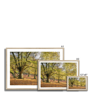 Pound hill Framed Print