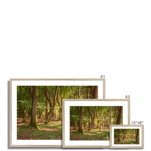 Forest 19 Framed & Mounted Print