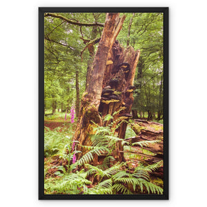 Forest  23 Framed Canvas