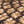 Sun Flower seed pattern