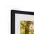 Forest 8 Framed & Mounted Print