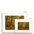 Forest 26 Framed & Mounted Print