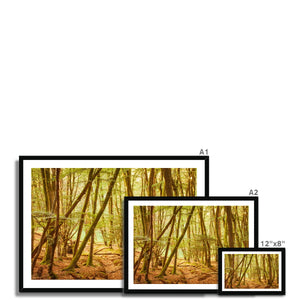 Forest 11 Framed Print