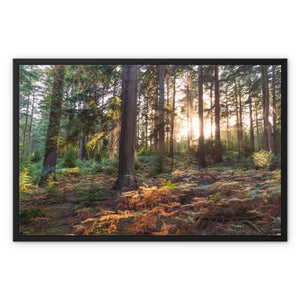 Wilverly at sunset Framed Canvas