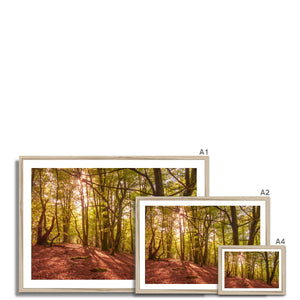 In the Shadow of Trees