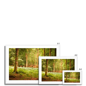 Forest 13 Framed Print