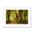 Forest 14 Framed & Mounted Print