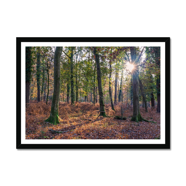 Catching light Framed Print