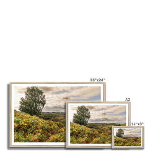 Seasons valley Framed Print