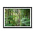 Bolderwood 2 Framed Print